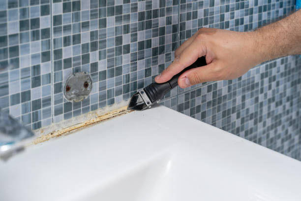Best Home Mold Removal  in Reisterstown, MD