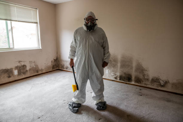 Best Mold Damage Repair  in Reisterstown, MD